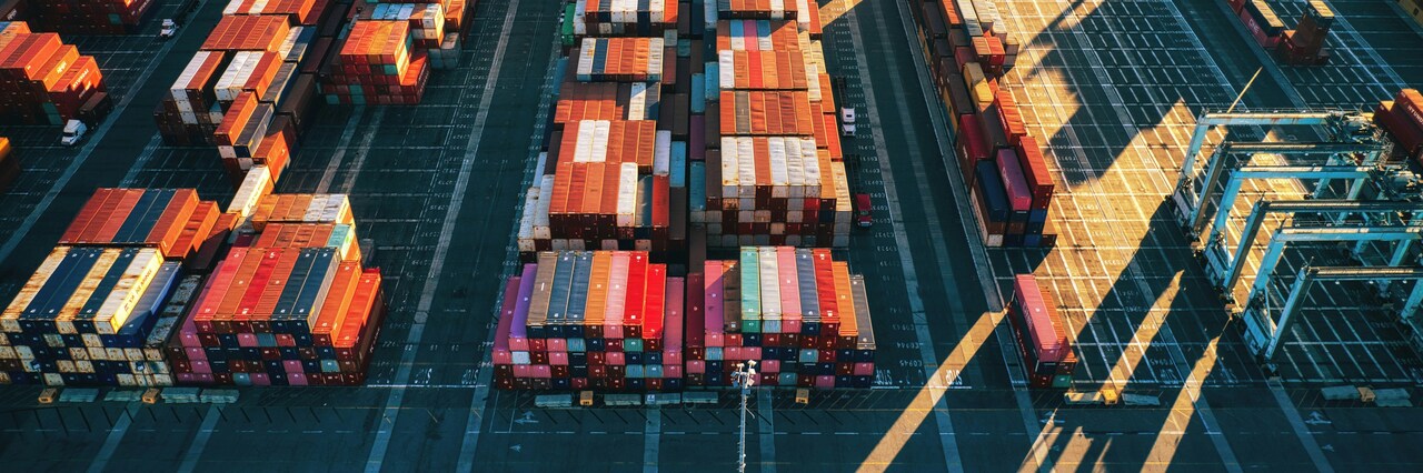 colorful containers in the morning light