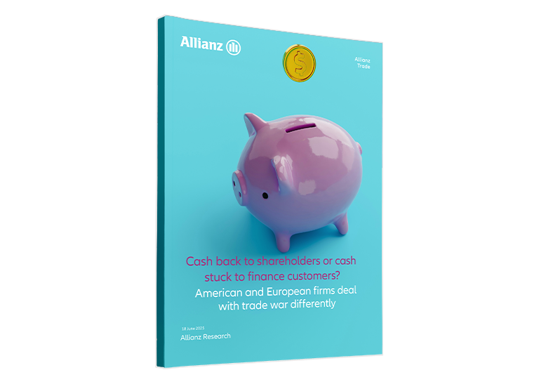 2025 DSO report cover image