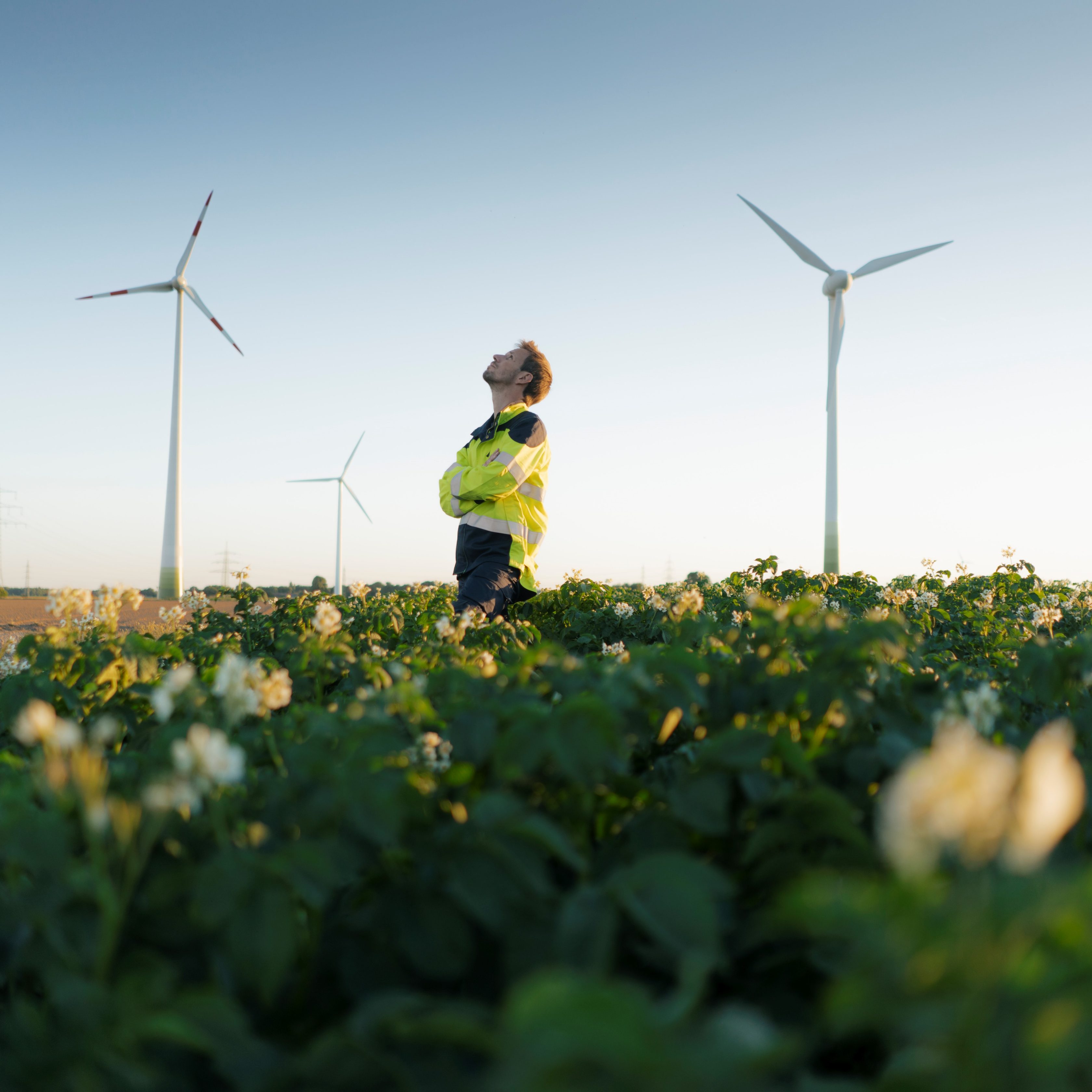 wind-farm