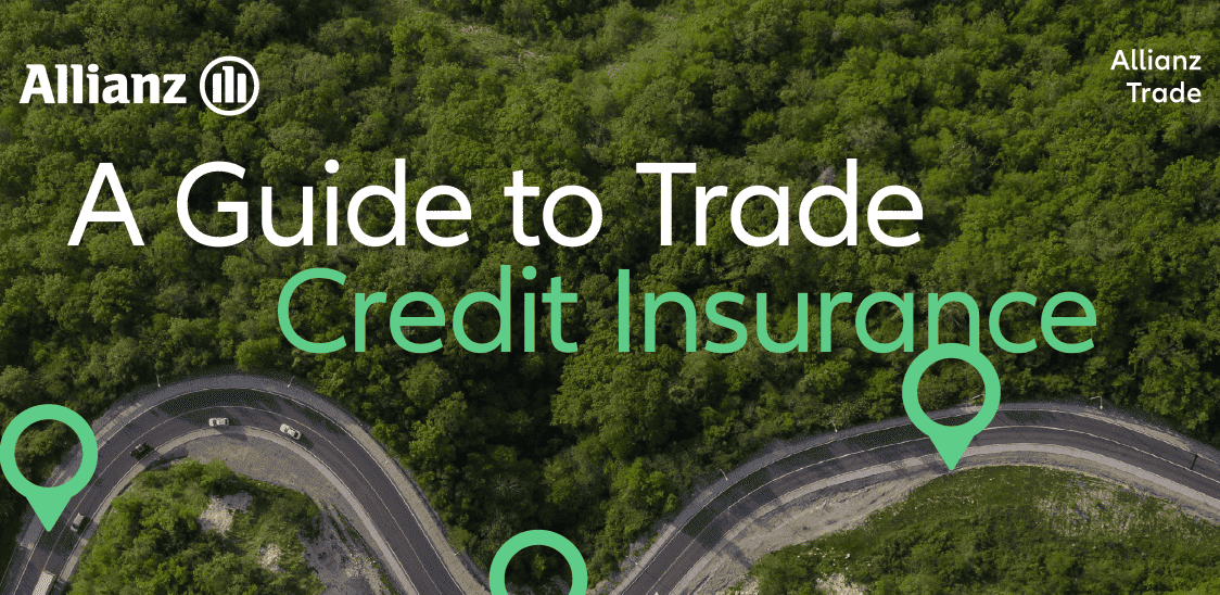 useful description of image if informative and not decoration only.