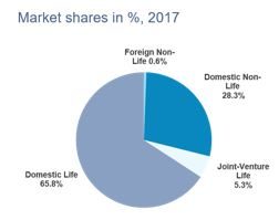 Figure 6: China’s insurance market structure