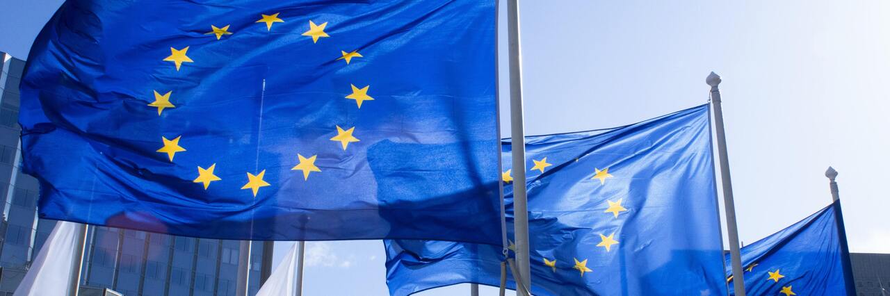 Europe's fiscal response to the energy crisis