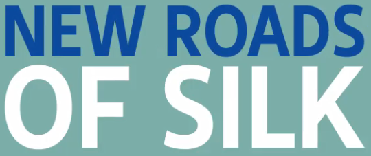 The Belt and Road Initiative: A boom, a bust or just a buzzword? 