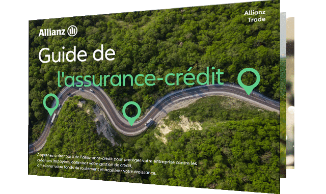 A Guide to Credit Insurance eBook Thumbnail
