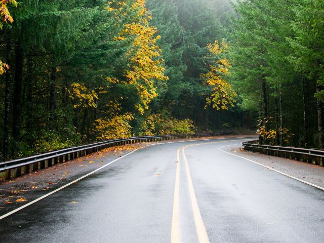 Strada a due corsie costeggiata dagli alberi