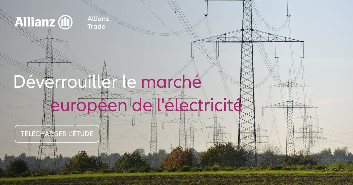 Etude marché électrique européen