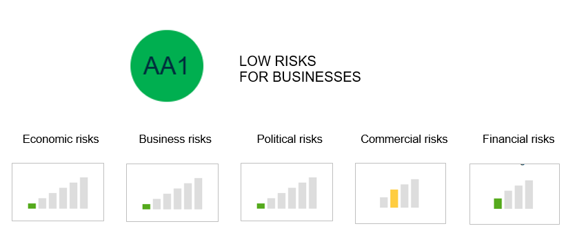 risk-for-business