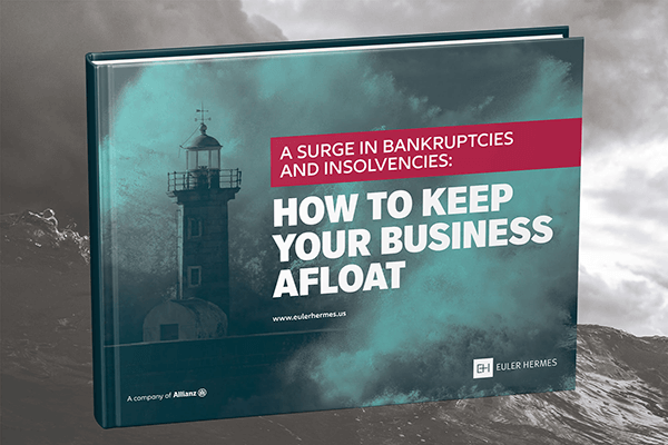 A Surge in Bankruptcies eBook Thumbnail