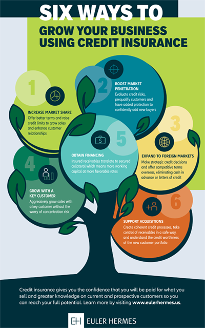 6 Ways to Grow Your Business Using Credit Insurance