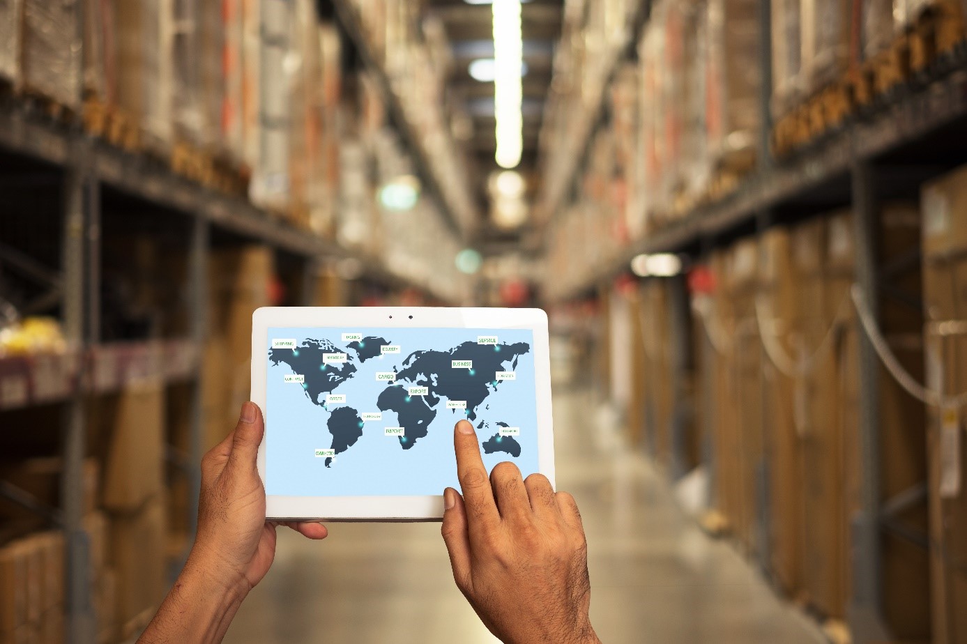 Economic Research Global Supply Chain Survey