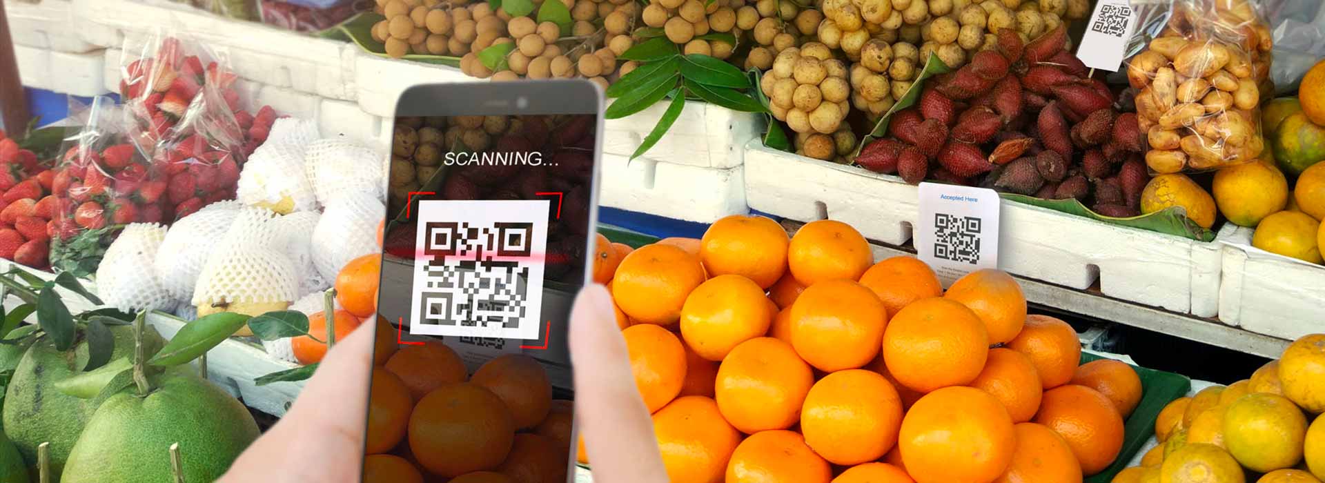 Tracciabilità alimentare e blockchain: innovazione 4.0 