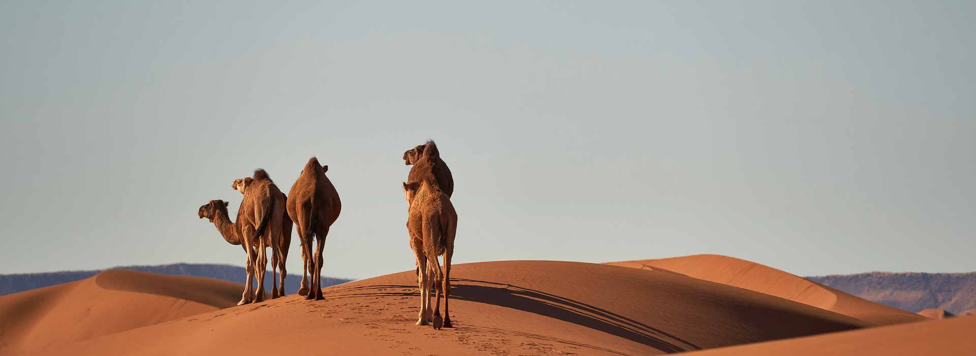 Marocco: è in corso un rallentamento della crescita